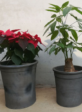 高筒红陶花盆陶土特大老式泥瓦盆素烧花盆透气君子兰包邮