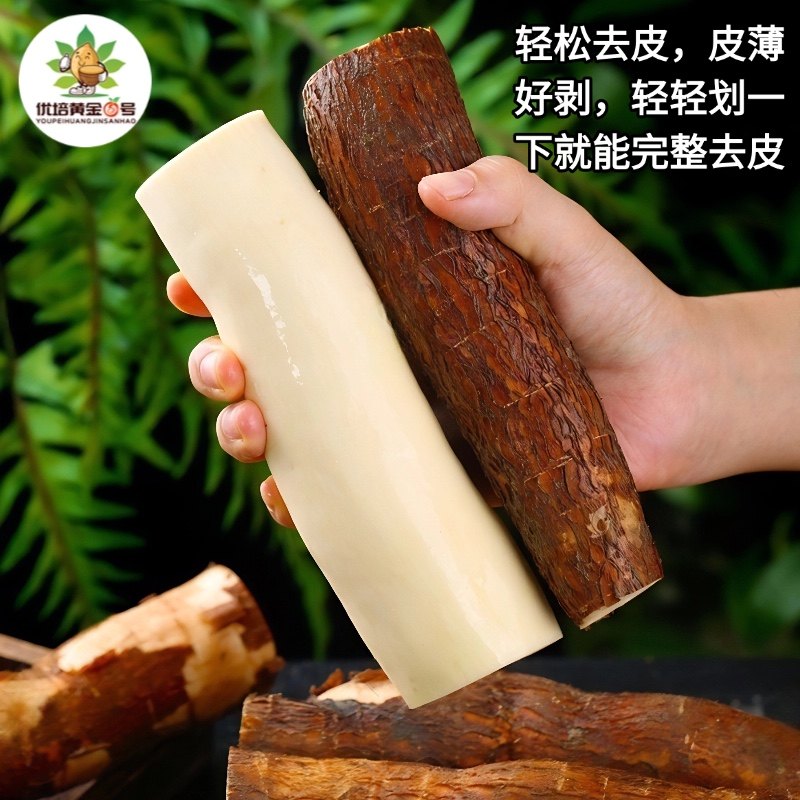 黄心木薯新鲜黄肉木署现挖广西特产农家当季面包板栗红薯糖水店