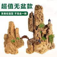 山水盆景石头 新人首单立减十元 21年7月 淘宝海外