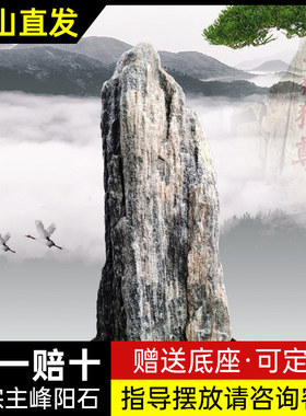 泰山石摆件家居客厅招财正宗泰山石敢当天然原石镇宅石室内靠山石