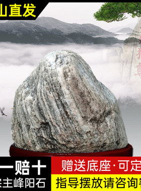 泰山石敢当镇宅室内家用靠山石办公室天然原石摆件室外正宗泰山石
