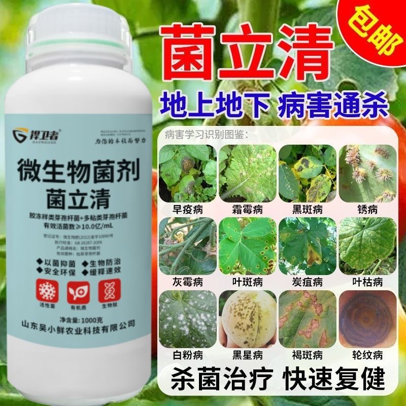 菌立清微生物菌剂杀菌除菌液专用根腐病青枯病叶斑病抗菌农用正品 - 图2