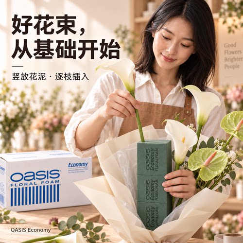 奥赛斯花泥oasis经济型花泥20块装插花湿花泥鲜花泥插花DIY花艺师 - 图1