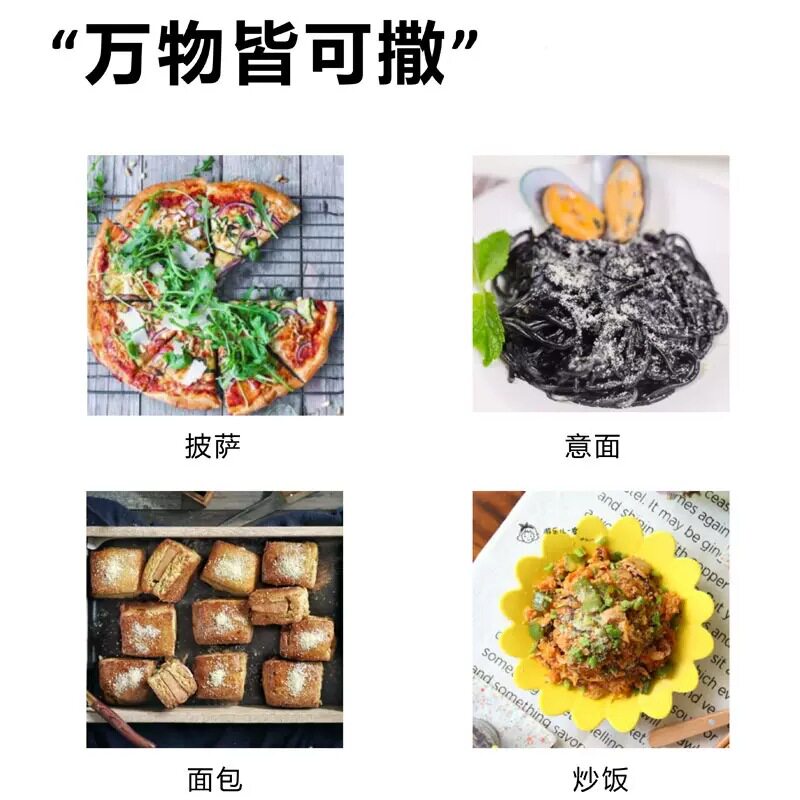 奈特兰芝士粉帕玛森干酪奶酪粉意面 世汇食品芝士新