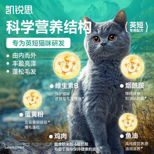 凯锐思英短美短布偶猫粮专用蓝猫幼猫1-4-12个月成猫鱼肉猫食4斤 - 图2