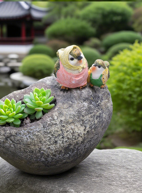小鸟多肉花盆鸡花盆派件