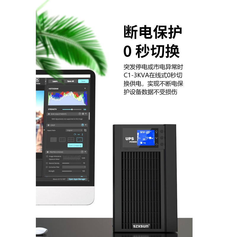 服务器电脑 C2KS 在线式UPS不间断电源2KVA1600W延时1小时套餐 - 图1