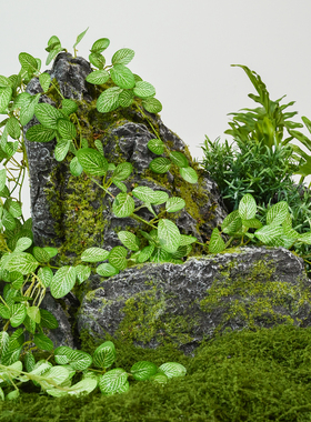 仿真青苔泡沫仿生石头森林造景室内庭院假山绿植苔藓假石道具摆件