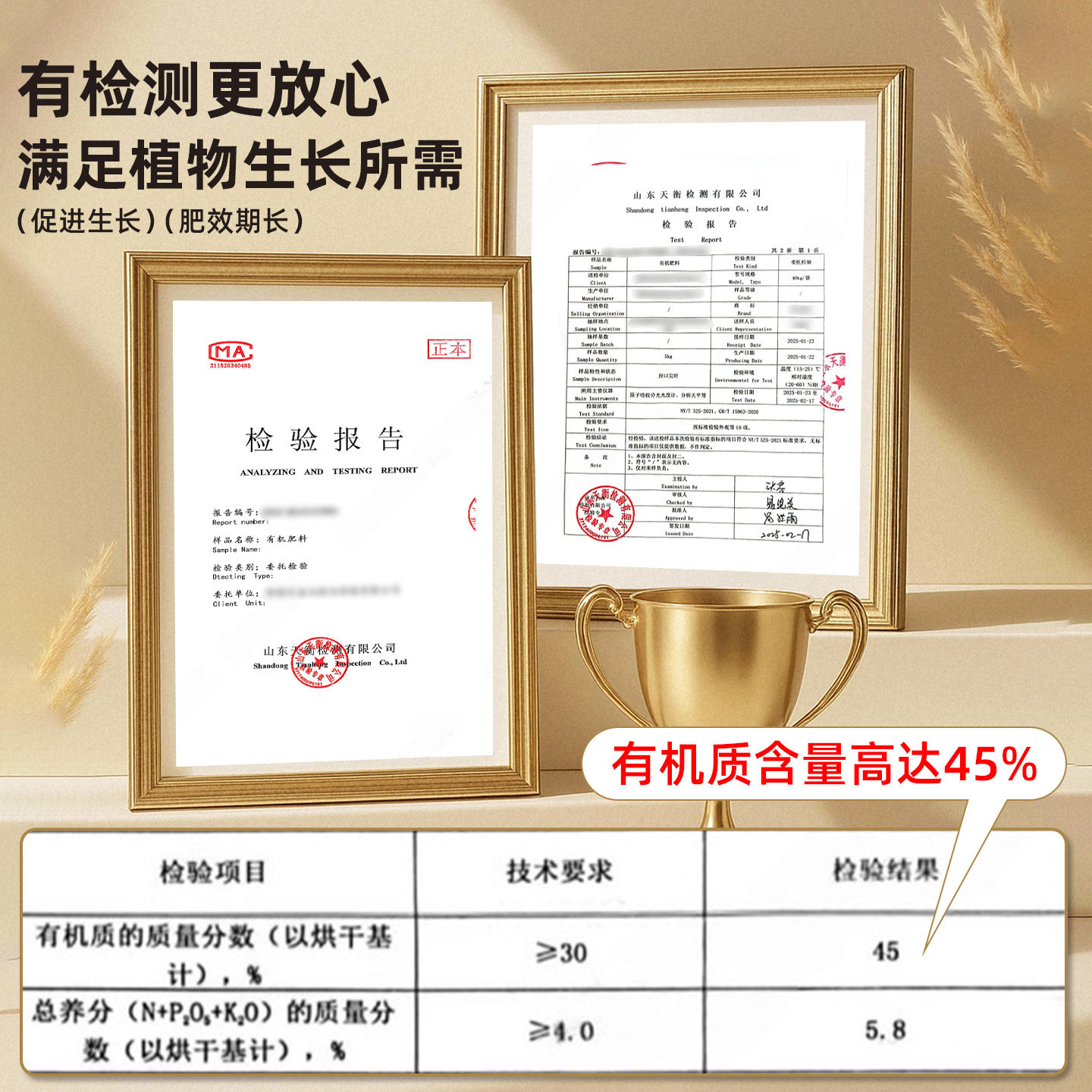 韭菜专用肥料增根壮苗旺株叶面肥葱姜蒜蔬菜通用有机肥园艺颗粒肥,淘宝优惠券,粉丝福利购,淘宝优惠卷