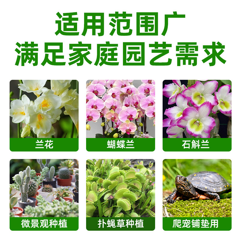 干苔藓蝴蝶兰专用水苔爬宠乌龟冬眠垫材种植营养土乌龟窝造景青苔,淘宝优惠券,粉丝福利购,淘宝优惠卷