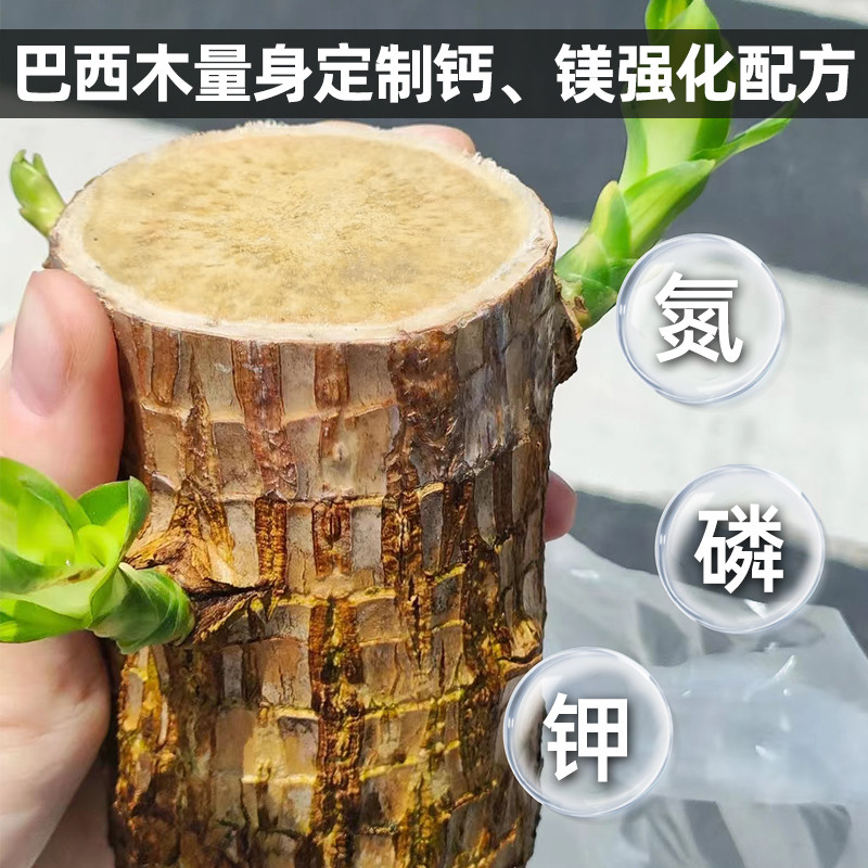 水培巴西木专用营养液免稀释巴旦木专用肥料养花卉绿植植物通用型,淘宝优惠券,粉丝福利购,淘宝优惠卷
