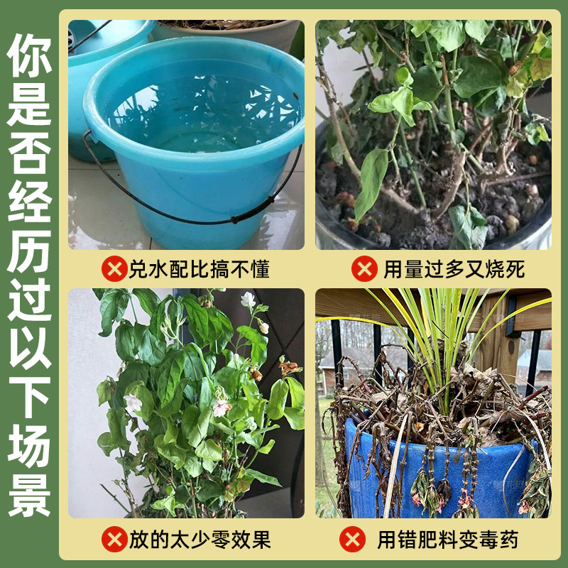 茶花肥料专用肥山茶花营养液开花液茉莉栀子杜鹃喜酸植物盆栽家用 - 图0