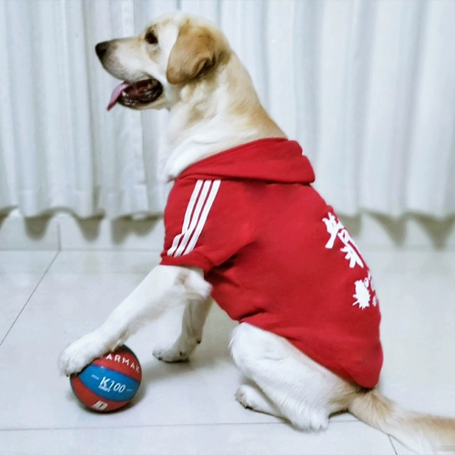 Одежда домашних собак Осень и зимний свитер плюс тонкий бархат Большой, маленький, маленький, маленький, маленький, маленький, маленький, маленький, маленький, маленький, маленький и маленький