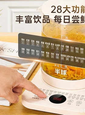 半球玻璃养生壶防糊防干烧