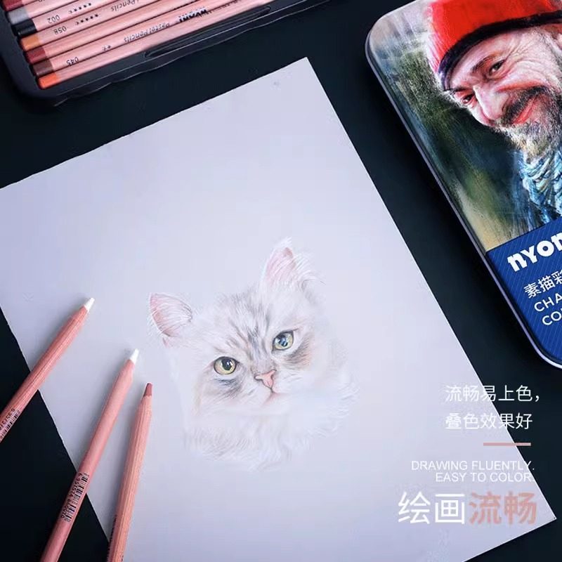 尼奥尼彩色炭笔24色彩炭素描速写碳笔人像彩炭套装黑色白色素描碳笔美术生专用绘画铅笔手绘专业绘画彩色画画,淘宝优惠券,粉丝福利购,淘宝优惠卷