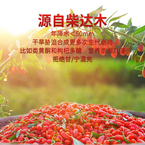 格拉三江红枸杞青海特产格尔木枸杞子免洗大颗粒红枸杞500g*1袋 - 图0
