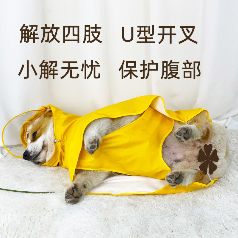 图4