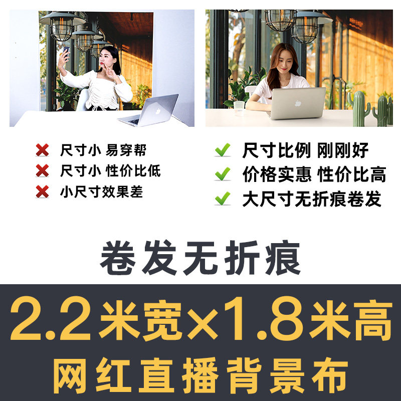 网红主播拍照背景墙书房简约直播背景布3d立体直播间装饰挂布房间布置农村户外山水花大海边抖音高清场景_虎窝淘