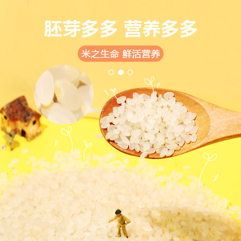 【签到+首单】芬享家新米胚芽米婴幼儿辅食