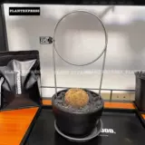 NBHD Кругковая металлическая черепаха из нержавеющей стали Шелон скалола на лок