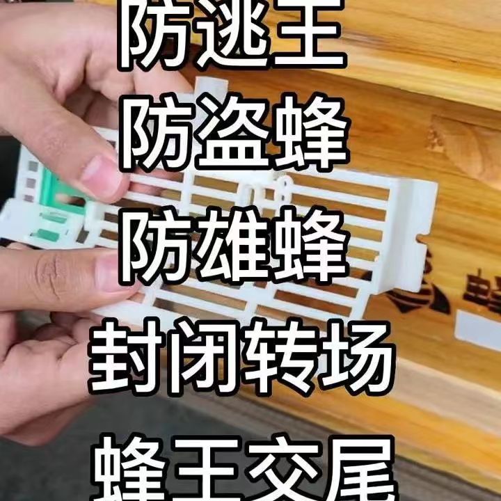 中蜂防逃框蜜蜂防跑王片剔除雄蜂蜂箱巢门专用档条养蜂工具多功能 - 图3