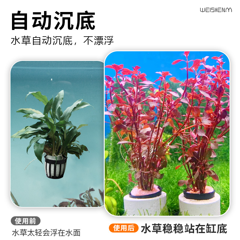 水草植物鱼缸造景阴性真草定植全套餐增氧水兰蜈蚣草绿菊水榕水草 - 图2