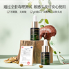 蔚雨堂【可比落+亚美尼斯】防脱发头皮精华