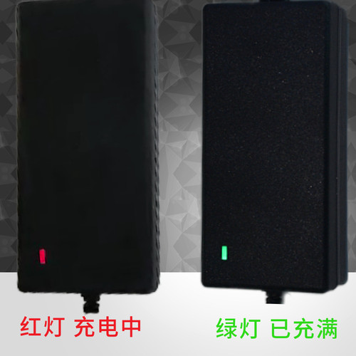 适用于小米9号九号平衡车充电器三四孔头阿尔郎通用63v冲电线54v - 图0
