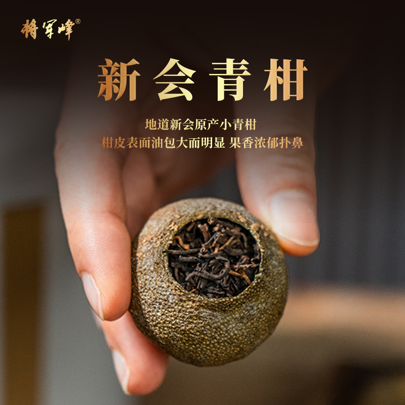 将军峰旗舰店广东新会小青柑六堡茶 将军峰六堡茶