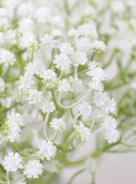 新疆西藏包邮满天星仿真花客厅插花装饰花束假花家居装饰婚庆场景