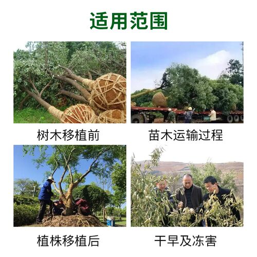 国光抑蒸蒸腾剂植物减少水分蒸发苗木移植专用提高成活率果树通用 - 图1