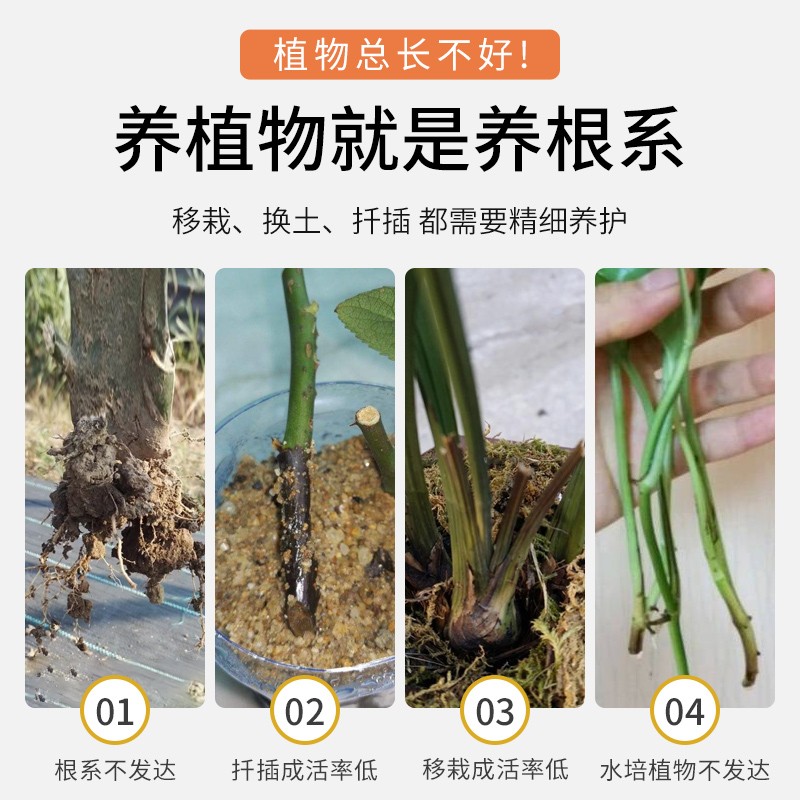 国光根盼吲哚丁酸萘乙酸植物生根剂扦插移栽苗木花卉爆发式生根液 - 图1