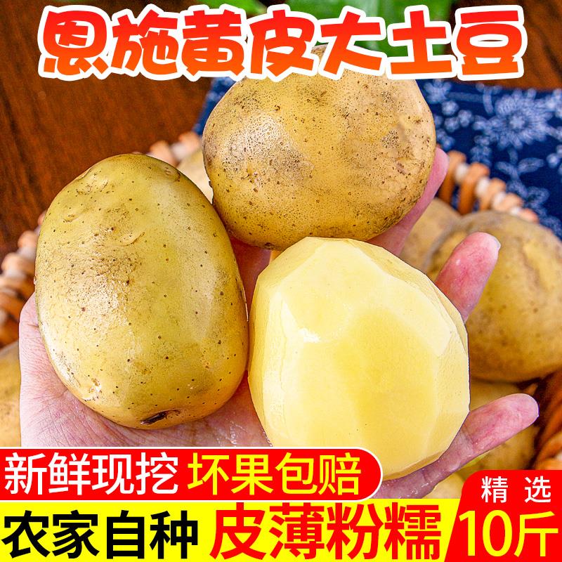 恩施大土豆现挖湖北新鲜黄心土豆10斤当季蔬菜整箱迷你马铃薯洋芋 - 图1