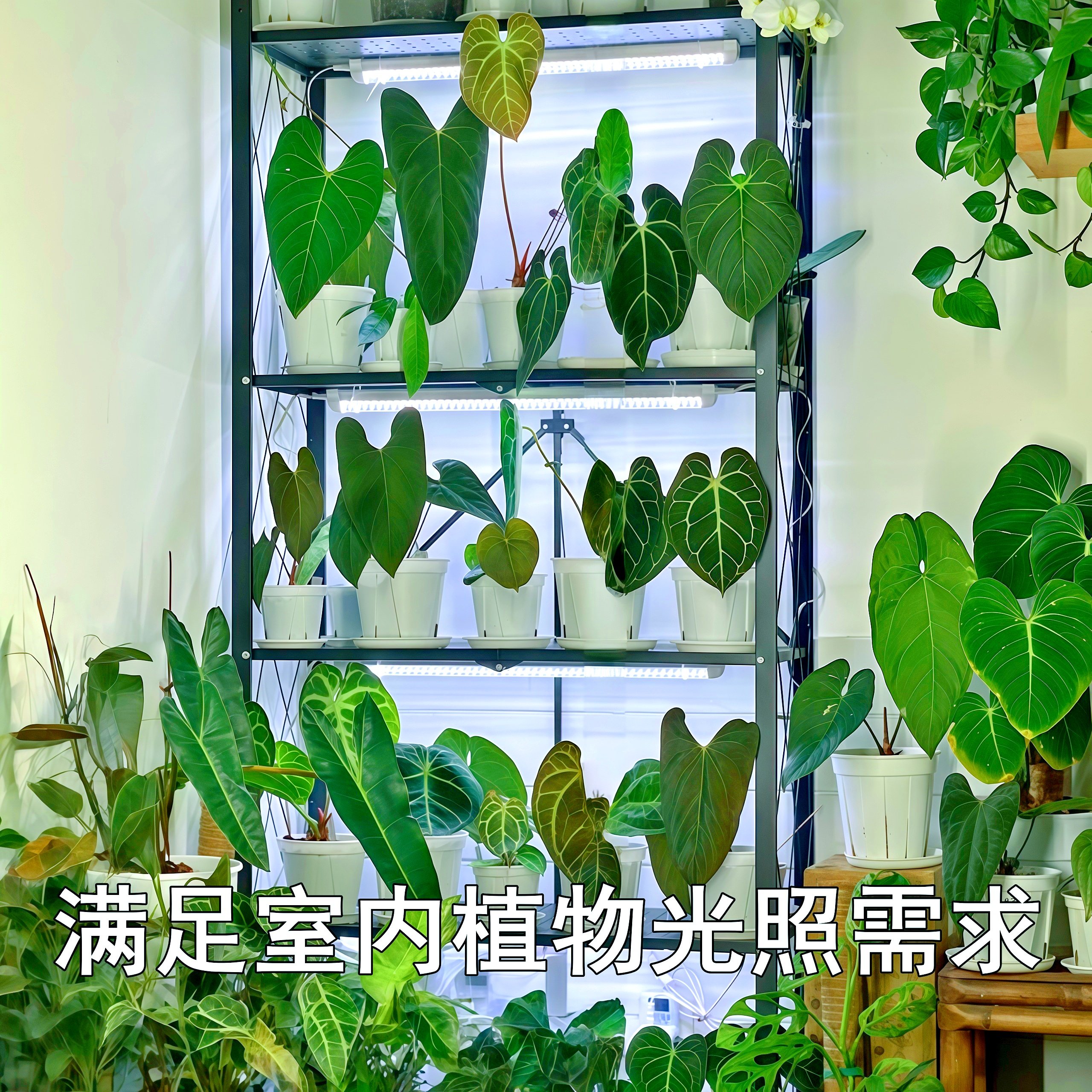 科维隆led植物补光灯全光谱仿太阳光花卉蔬菜热植组培植物生长灯,淘宝优惠券,粉丝福利购,淘宝优惠卷