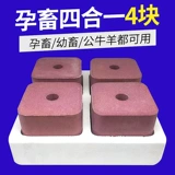 Корова беременная соль животных соль соль соль облизы