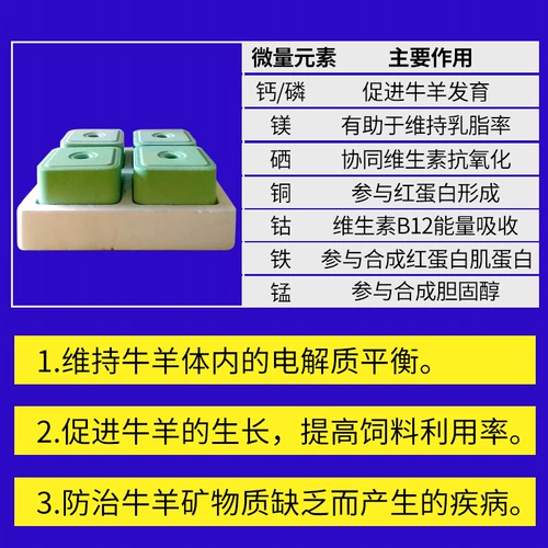 Корова беременная соль животных соль соль соль облизы