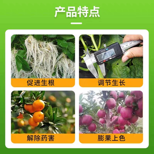 98%от сырой корневой корневой корневой корневой корневой