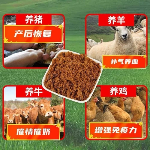 Beast Brown Sugar Говядина, овцы, размножающаяся цитирующая кровь, цыплята, цыплята, утка и гусь, аквакультура сельскохозяйственное ферментное коричневое сахар