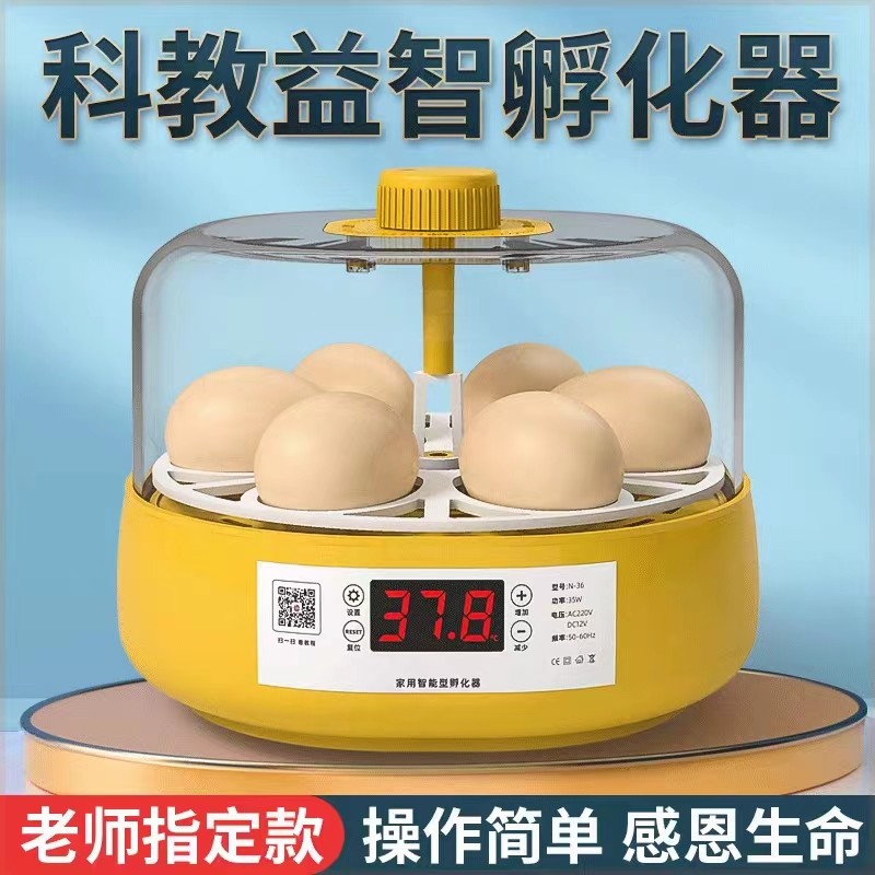 小型家用孵化机智能全自动小鸡芦丁鸡孵化器幼儿科教生命启蒙,淘宝优惠券,粉丝福利购,淘宝优惠卷