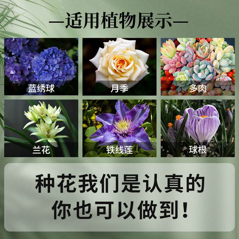 虹越花彩师营养土球根种球月季种植铁线莲蓝莓杜鹃养花通用专用土-图3