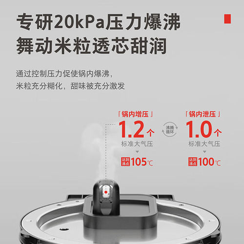 东芝真空压力多段IH电饭煲3L家用2-6人多功能5mm进口内胆10ZWSC - 图2