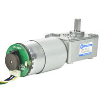 5840-555 turbo-worm rod micro DC speed reduction motor small motor 12v24v with encoder self-locking teeth)