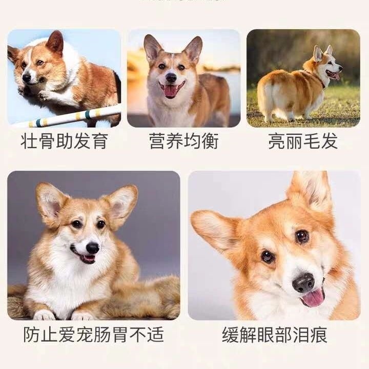 狗粮柯基美毛中小型去泪痕萨摩耶通用型萨摩中大型体验装优惠券