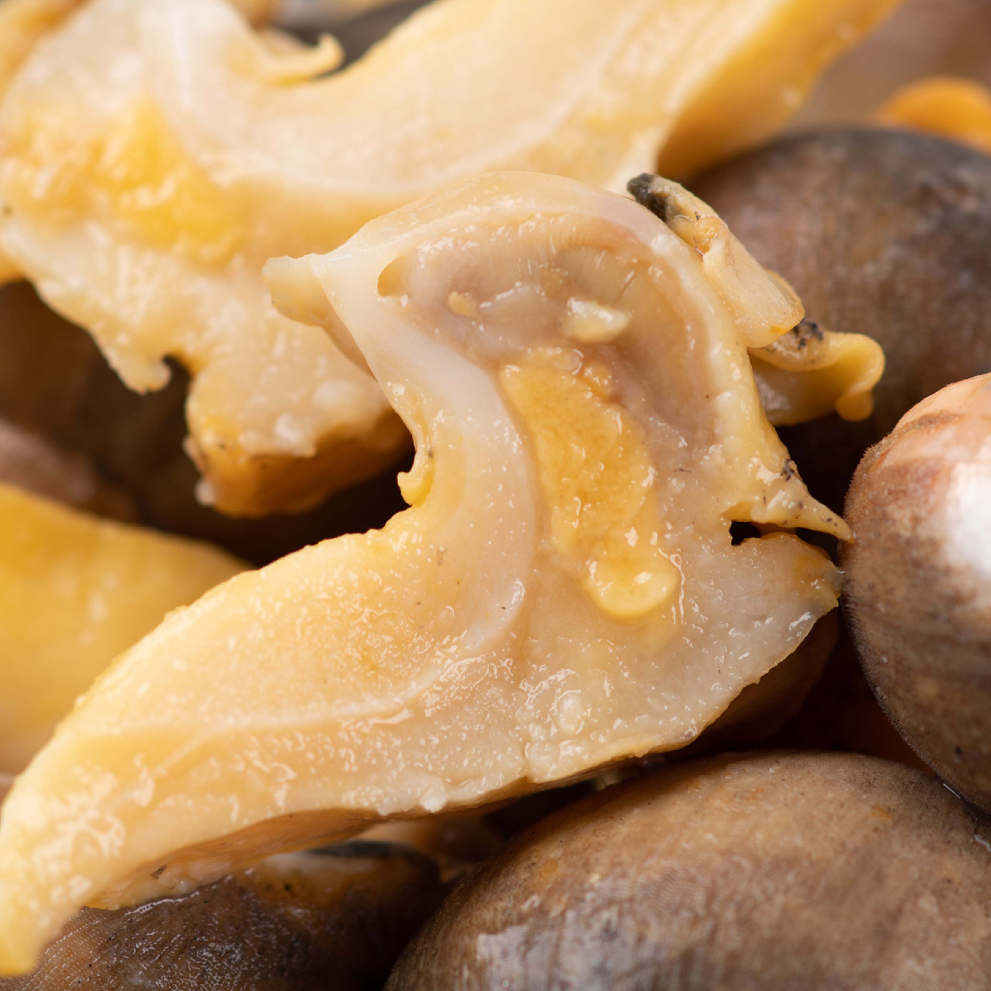 大连特产真空假鲍鱼珍珠鲍小海鲜新鲜海螺肉刺身鲍螺肉