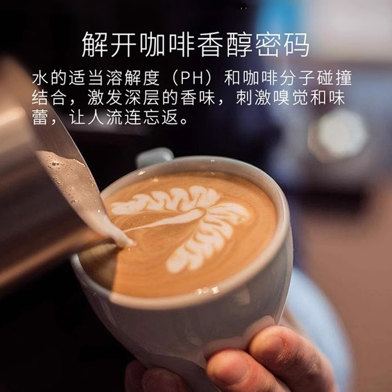 爱惠浦净水器商用大流量过滤器奶茶店净水机MC2双联 - 图2