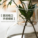 Творческая гидропонная ваза гостиная.