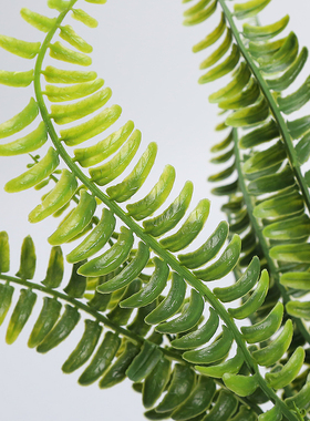落地摆放盆栽蕨类植物塑料花