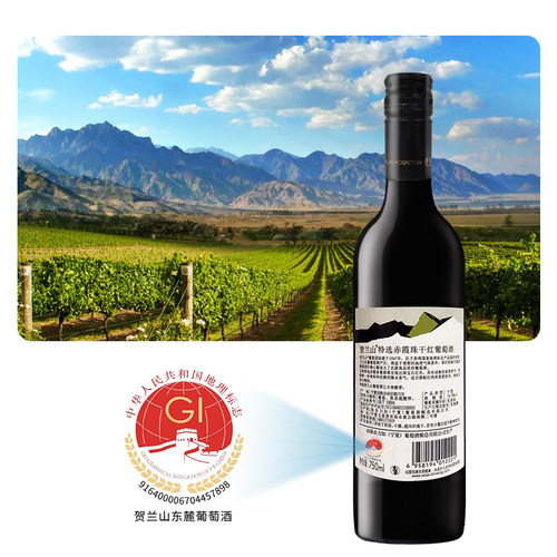 宁夏贺兰山东麓产区红酒特选赤霞珠干红葡萄酒750ml保乐力加整箱 - 图3