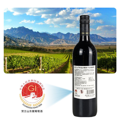 宁夏贺兰山东麓葡萄酒国产特选干红酒750ml双支红酒礼盒装高档 - 图3