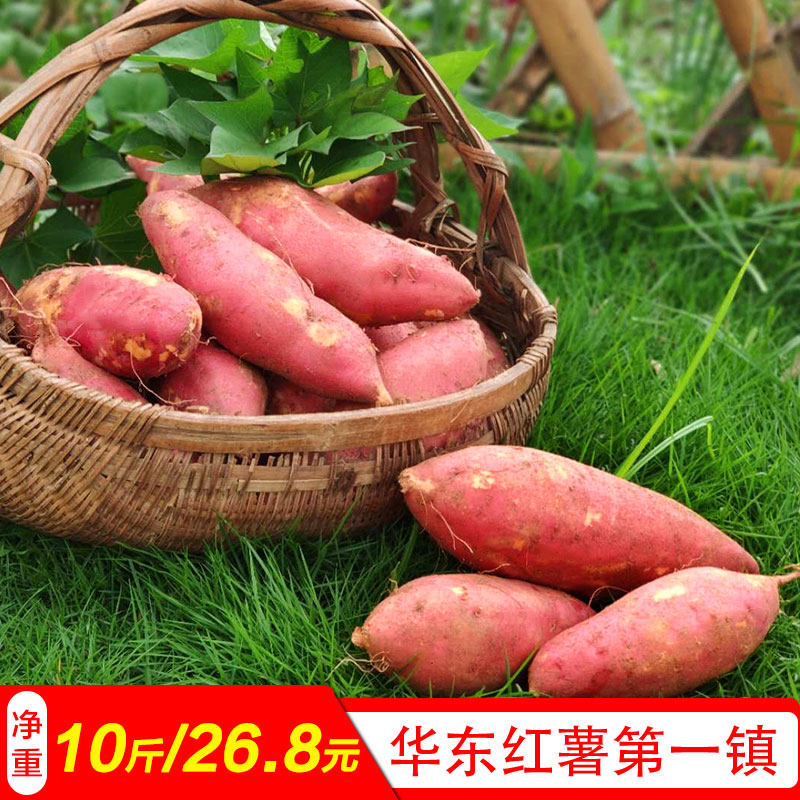 新鲜红心蜜薯10斤农家自种沙地山芋 祝岗食品番薯